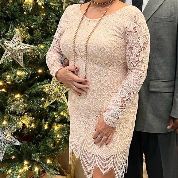 FINAL CLEARANCE SALE Elegant blush pink Lace Long Sleeve Dress - Picture 5 of 5